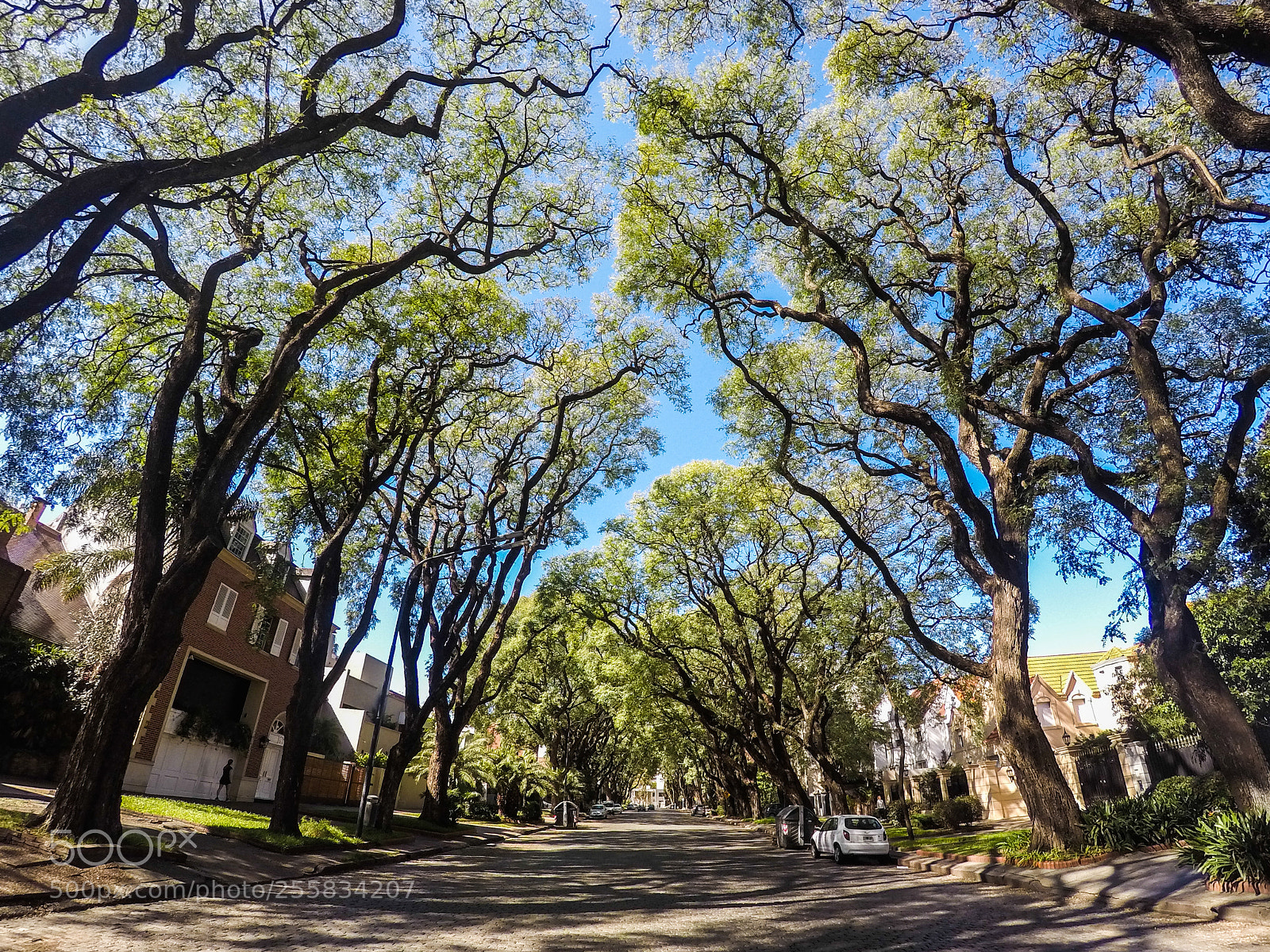 GoPro Hero5 Black sample photo. Buenos aires, melián photography