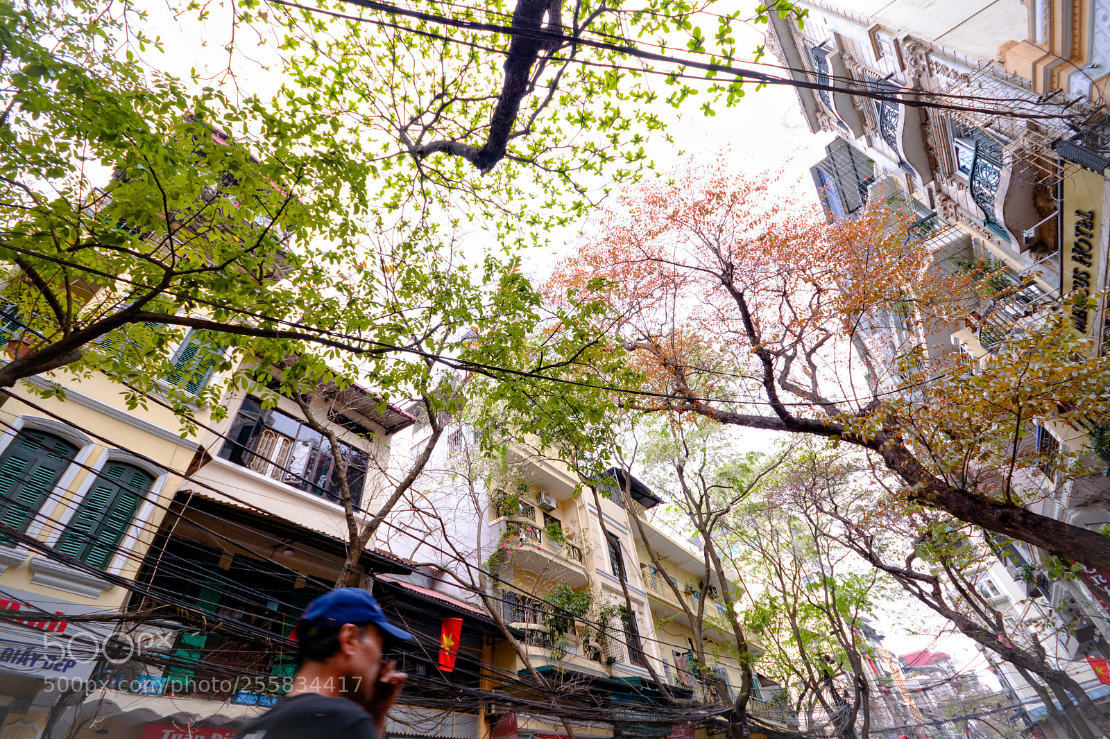 Nikon D7100 sample photo. Untitled photography