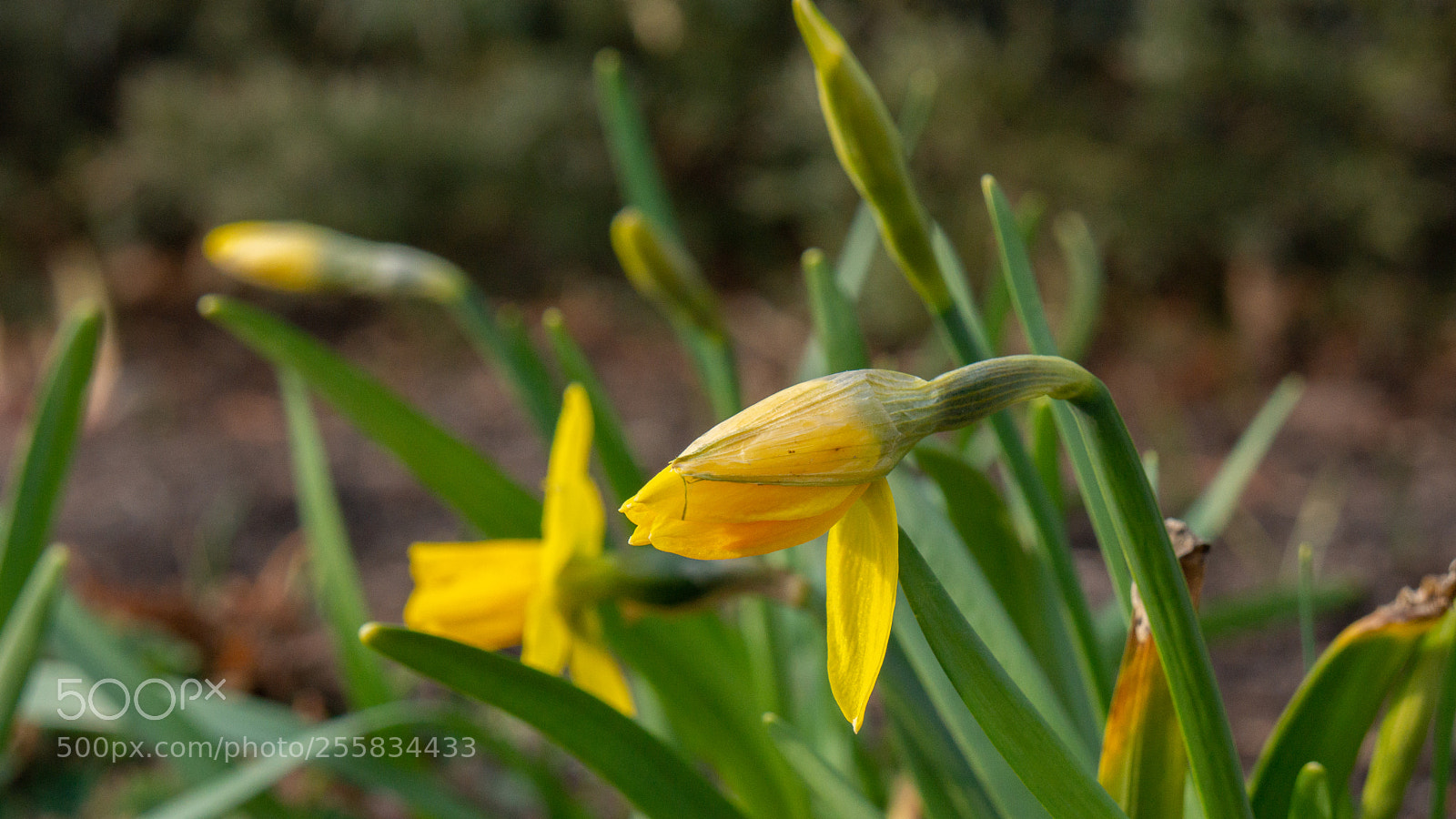 Sony Alpha NEX-7 sample photo. Untitled photography
