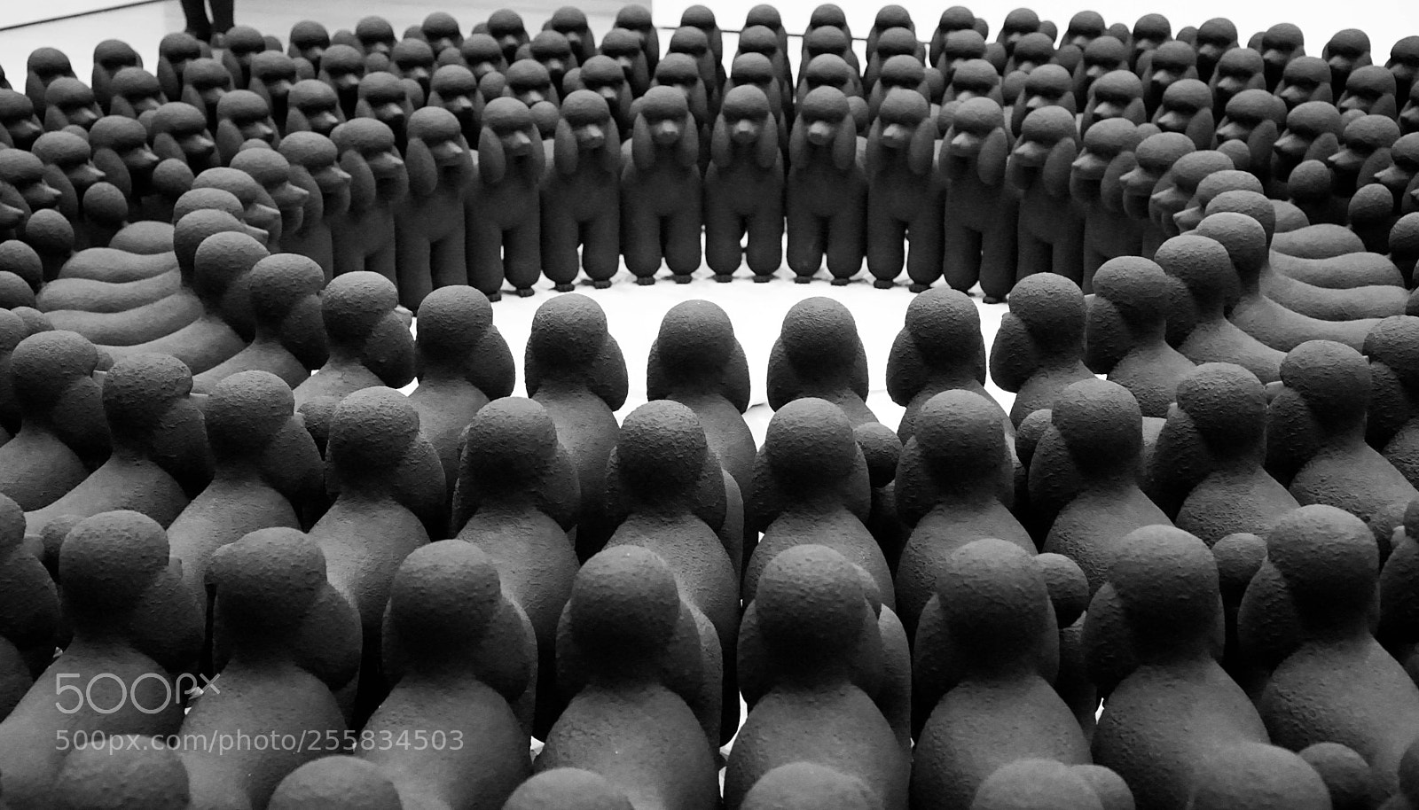 Sony a6000 sample photo. Modern art photography