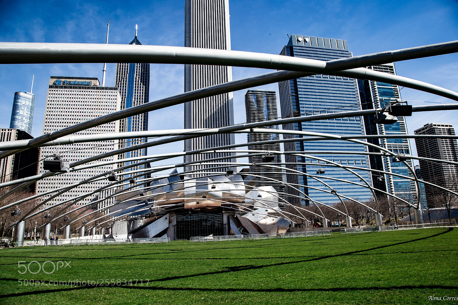 Canon EOS 6D sample photo. Jay pritzker pavilion photography