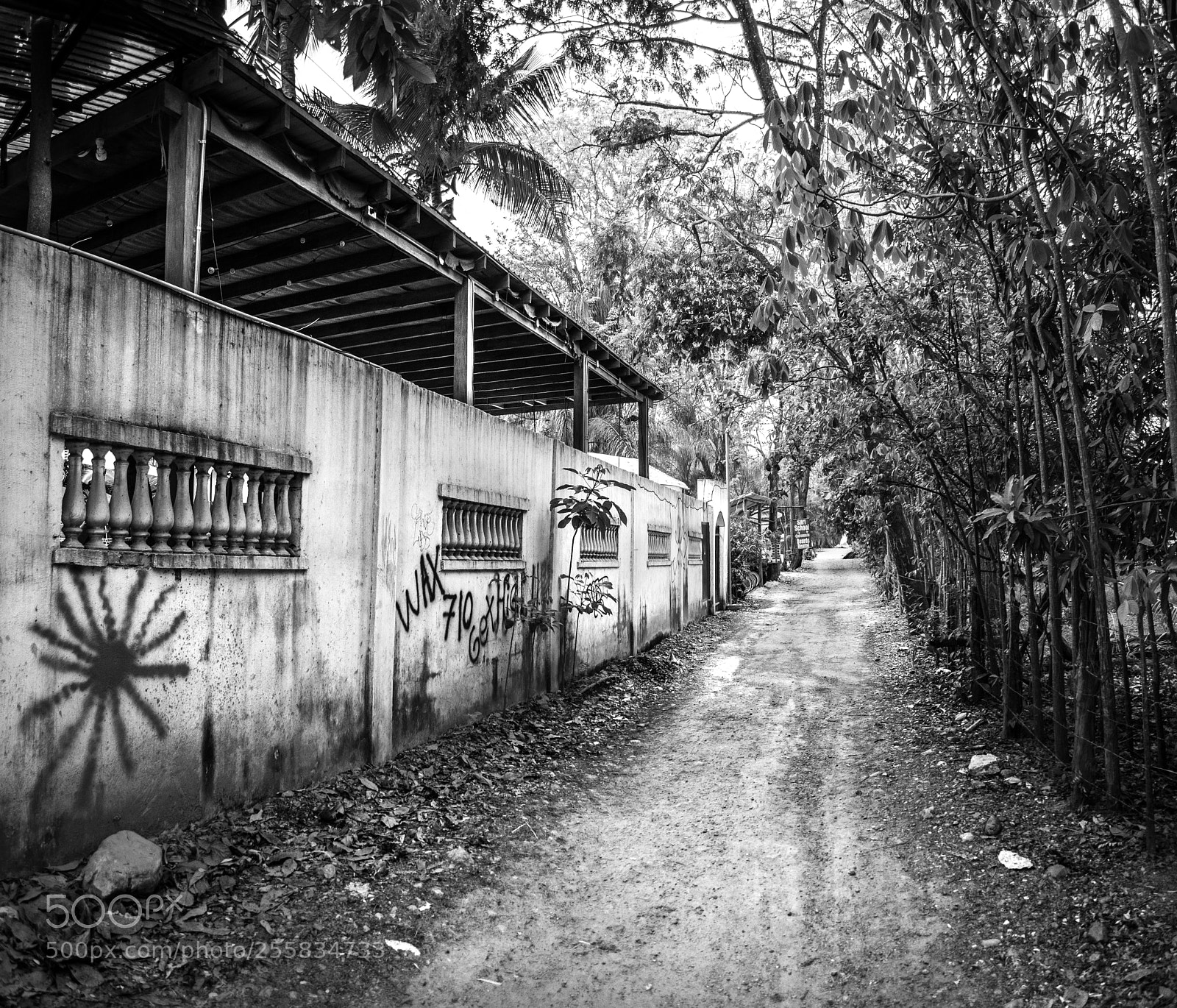 Nikon D5300 sample photo. Long way to home photography