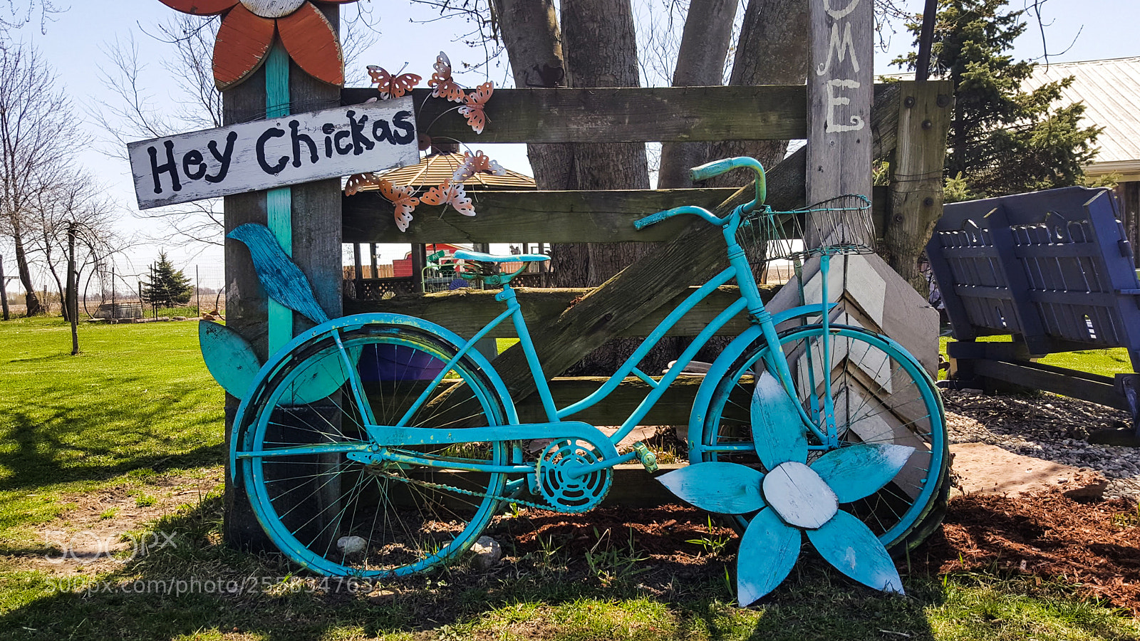 Samsung Galaxy Note5 sample photo. Blue bicycle photography