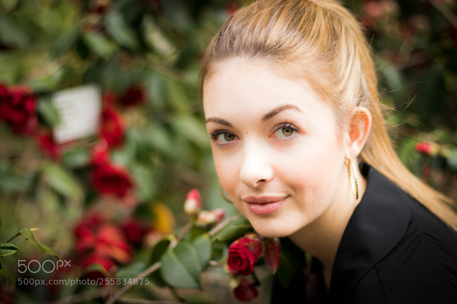 Canon EOS 77D (EOS 9000D / EOS 770D) sample photo. Isi photography