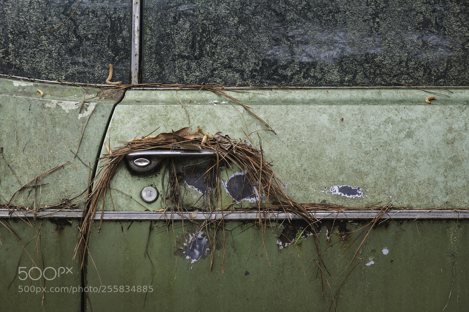 Nikon D850 sample photo. The green door photography