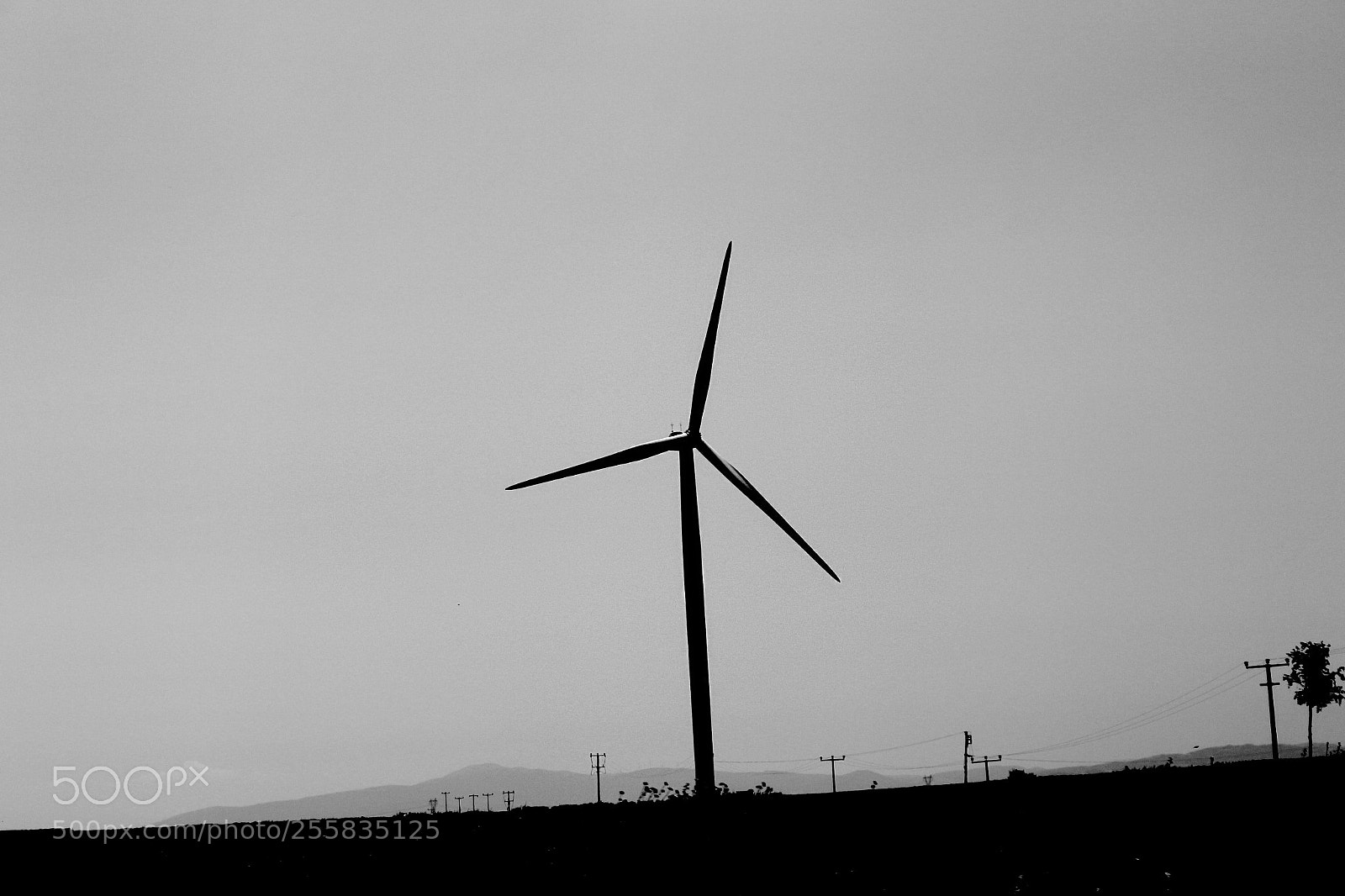 Canon EOS 700D (EOS Rebel T5i / EOS Kiss X7i) sample photo. Wind ? photography