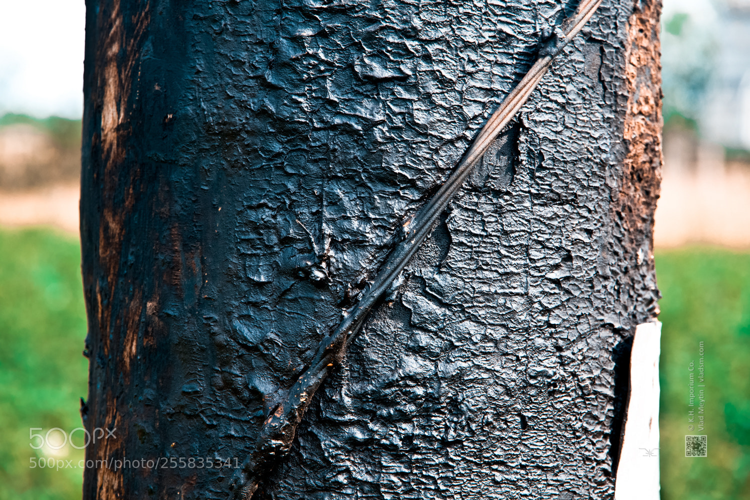 Canon EOS 500D (EOS Rebel T1i / EOS Kiss X3) sample photo. Road pillar, russian suburbs photography