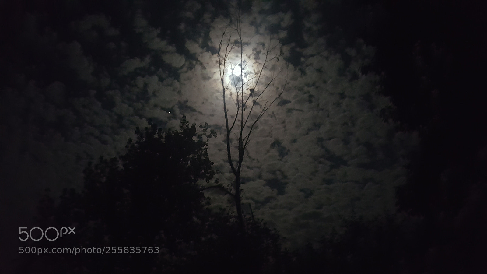 Samsung Galaxy S6 sample photo. Untitled photography
