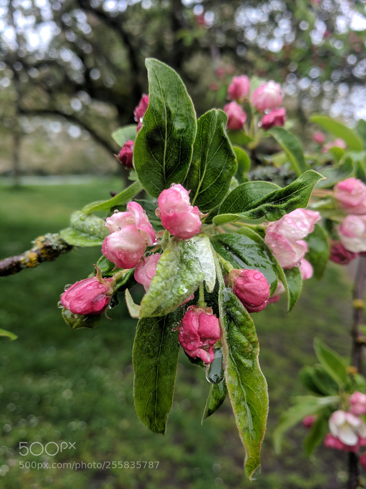 Google Pixel XL sample photo. Untitled photography
