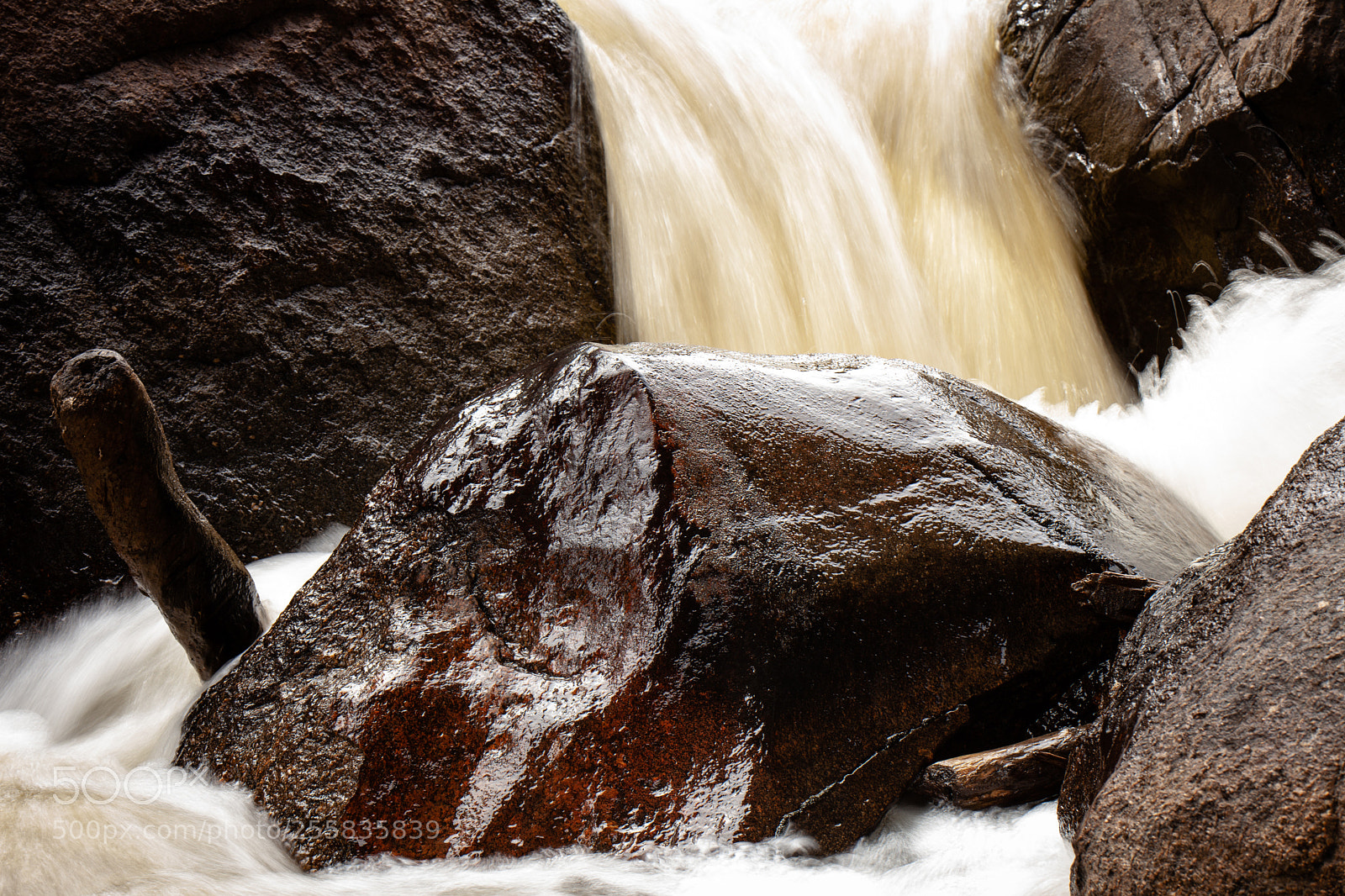 Canon EOS 5D Mark II sample photo. Untitled photography