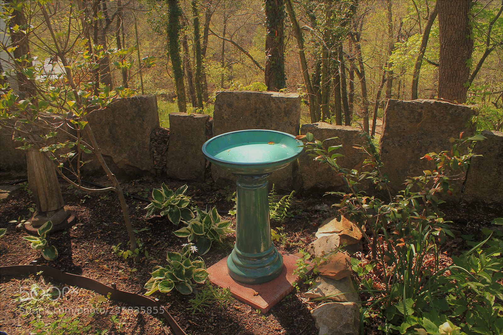 Canon EOS 1100D (EOS Rebel T3 / EOS Kiss X50) sample photo. It's all about the photography
