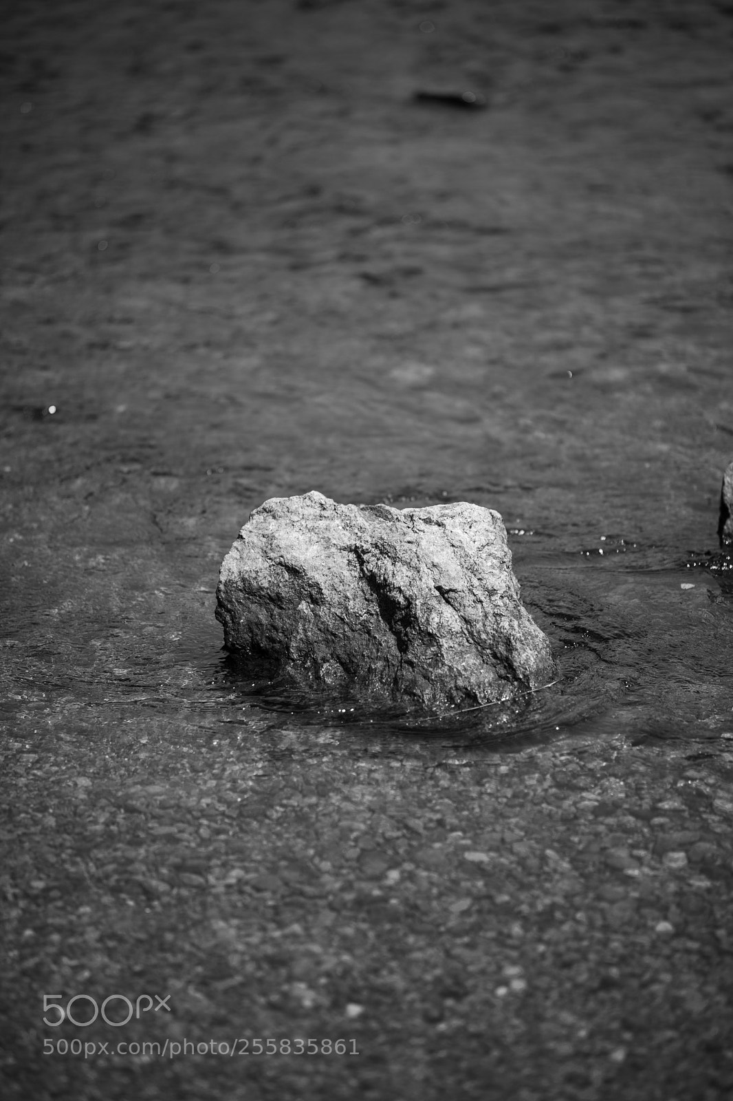 Canon EOS 5D Mark II sample photo. Untitled photography