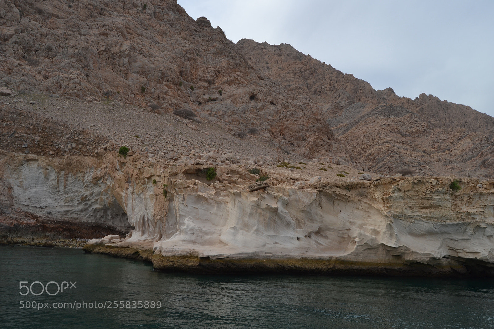 Nikon D3100 sample photo. Nature photography