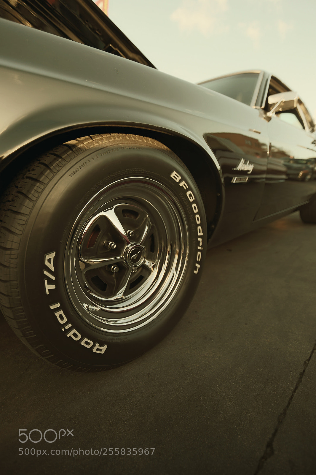 Canon EOS 6D sample photo. Stang photography