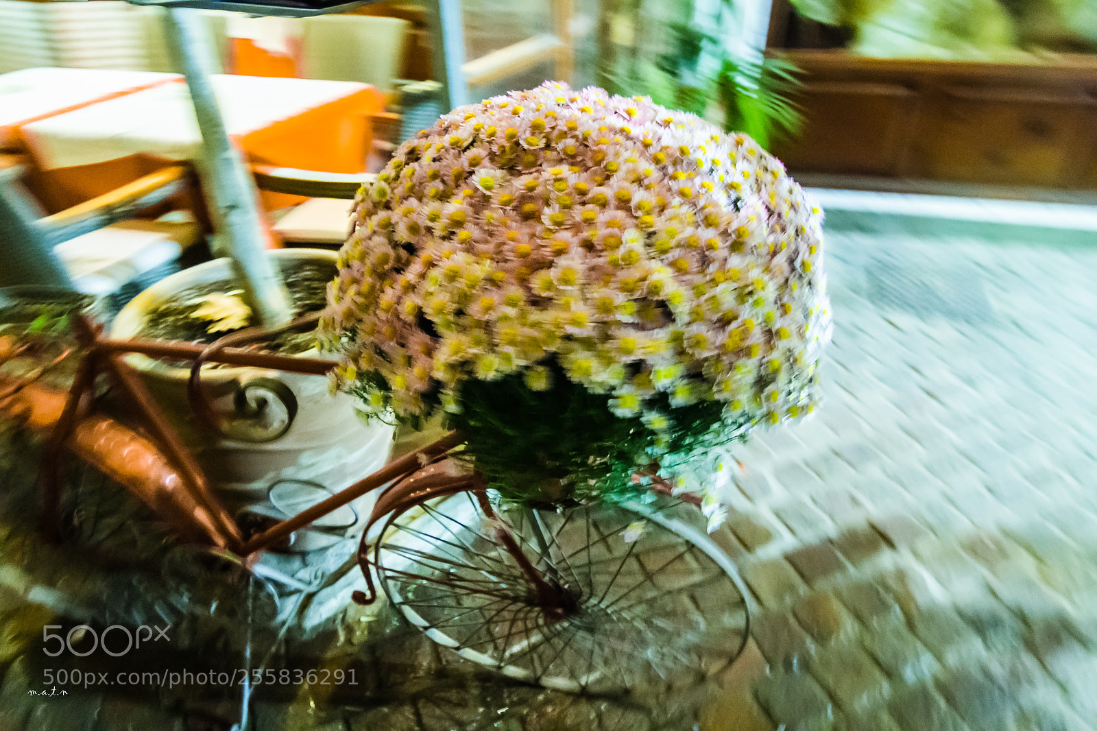Canon EOS 60D sample photo. Blurred concept photography