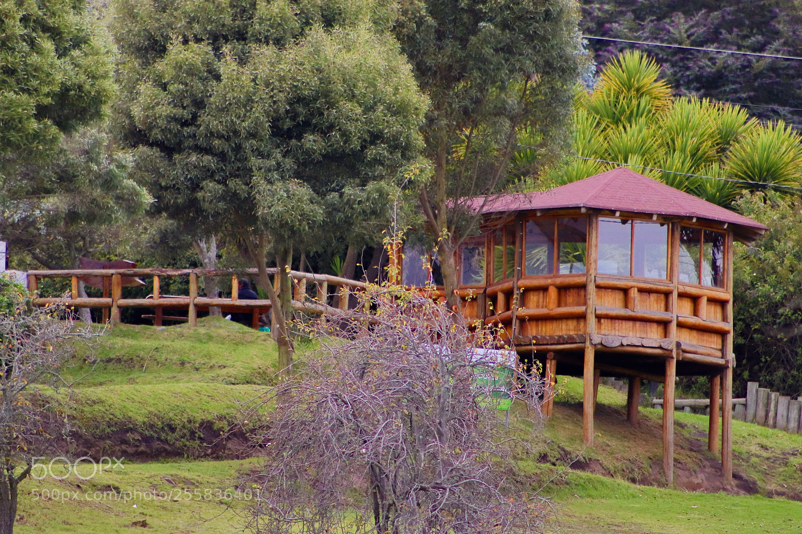 Canon EOS 800D (EOS Rebel T7i / EOS Kiss X9i) sample photo. Parque provincial de la photography