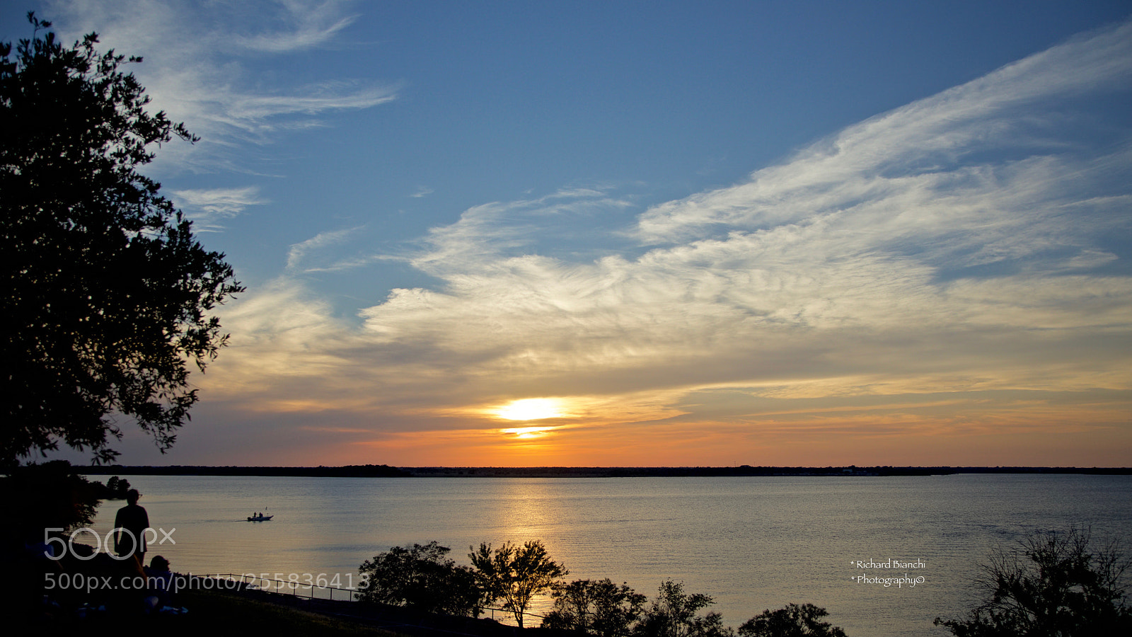 Canon EOS 5D Mark IV sample photo. Evening at the park photography