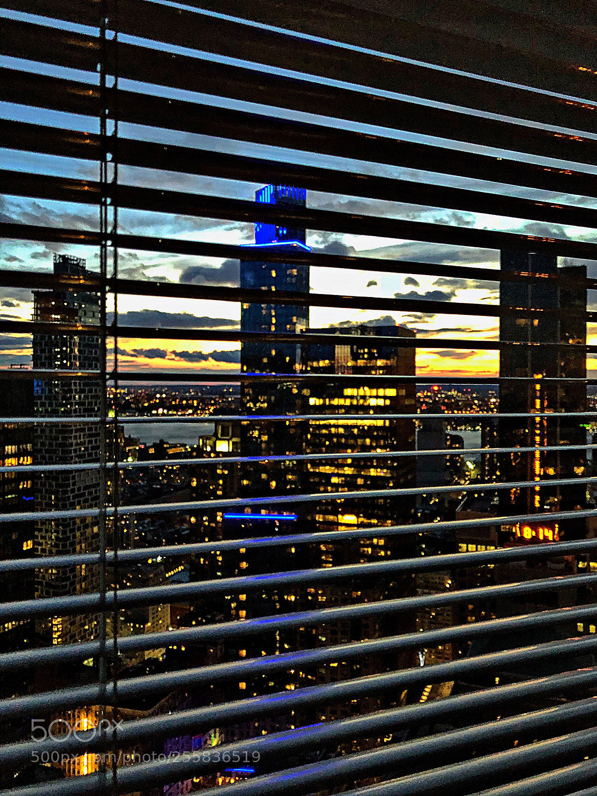 Apple iPhone X sample photo. View from our window photography