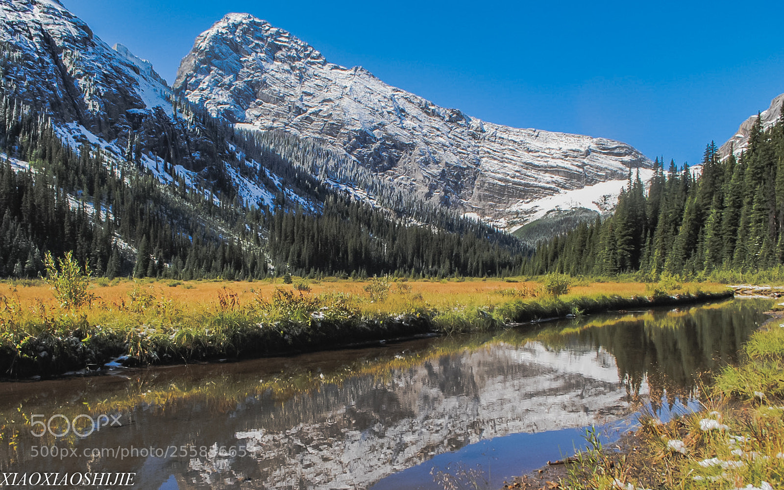 Nikon D3000 sample photo. On the trail photography