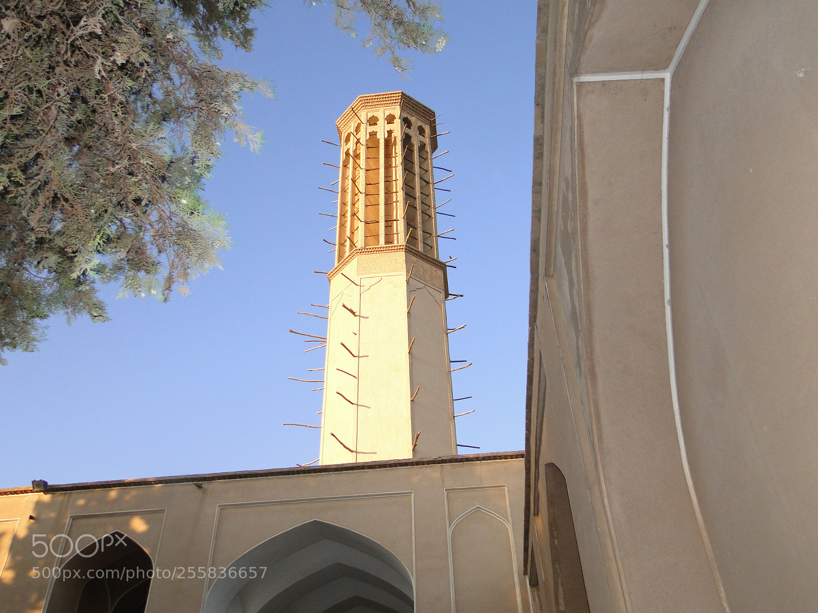 Sony Cyber-shot DSC-HX1 sample photo. Dsc photography