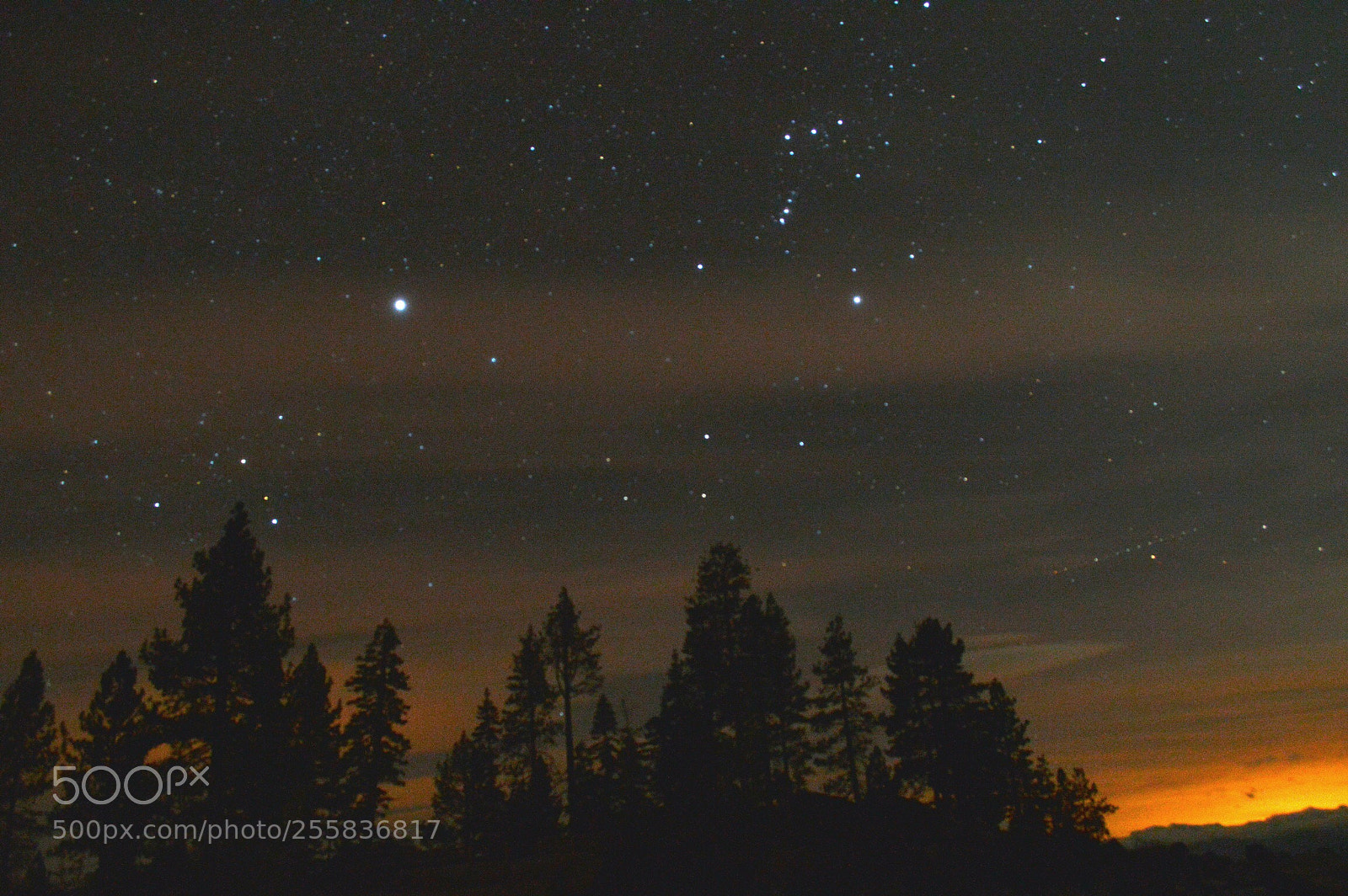 Nikon D3200 sample photo. Night sky  photography