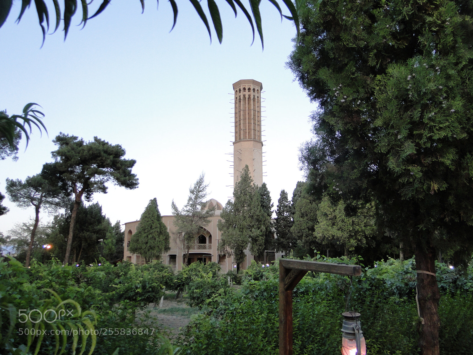 Sony Cyber-shot DSC-HX1 sample photo. Dsc photography