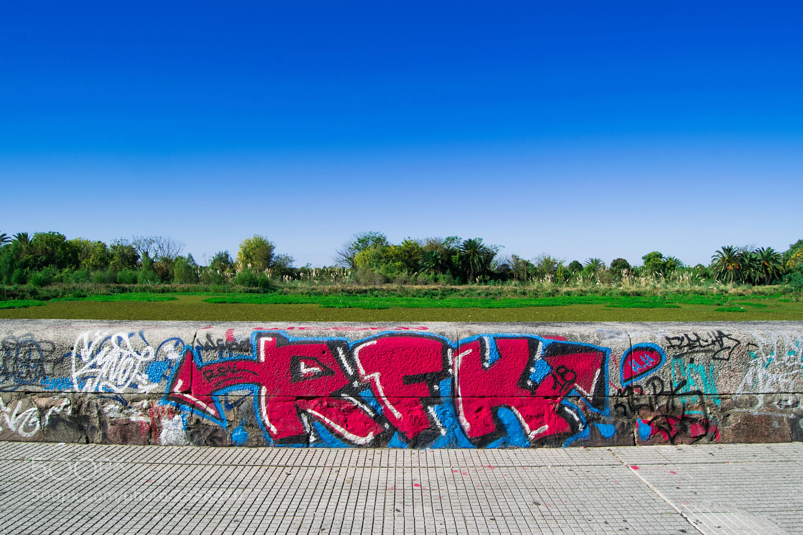 Nikon D3300 sample photo. Little wall photography