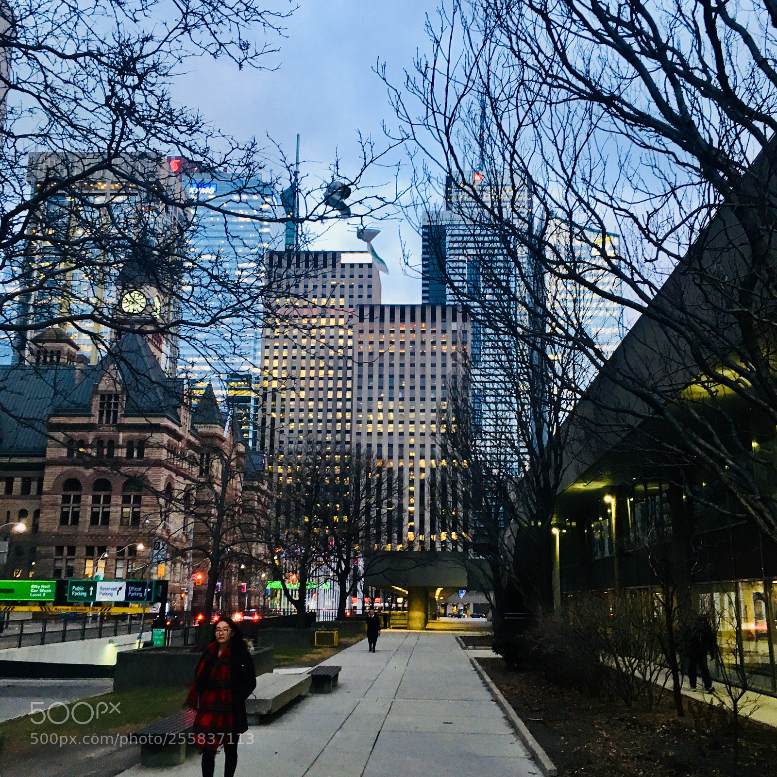 Apple iPhone SE sample photo. Untitled photography