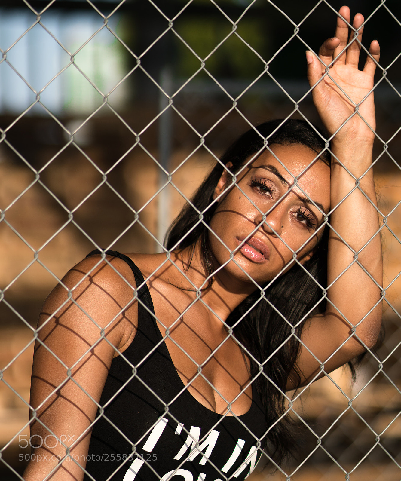 Sony a6500 sample photo. Thru the fence photography