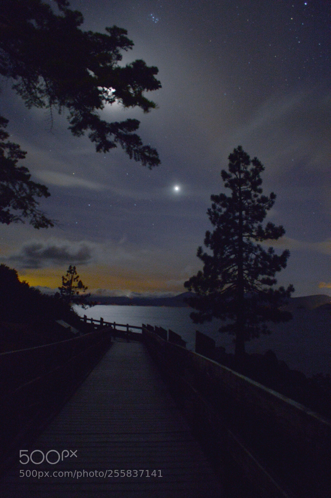 Nikon D3200 sample photo. Night walk photography