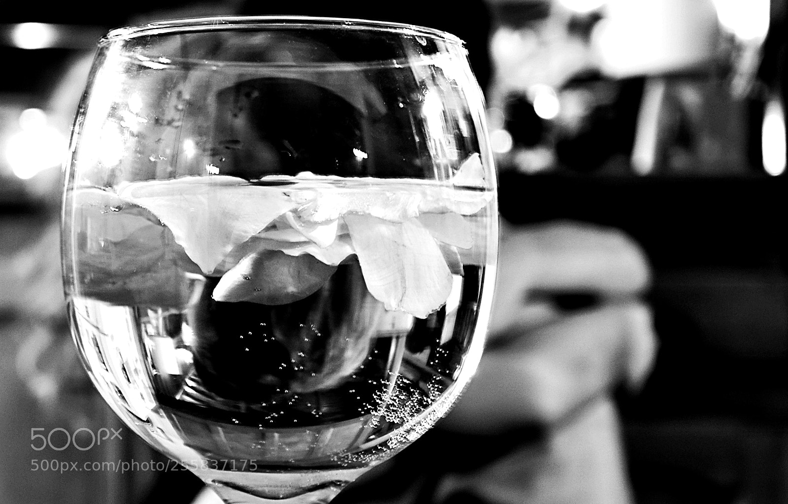 Nikon D3100 sample photo. Serie hugs trials photography
