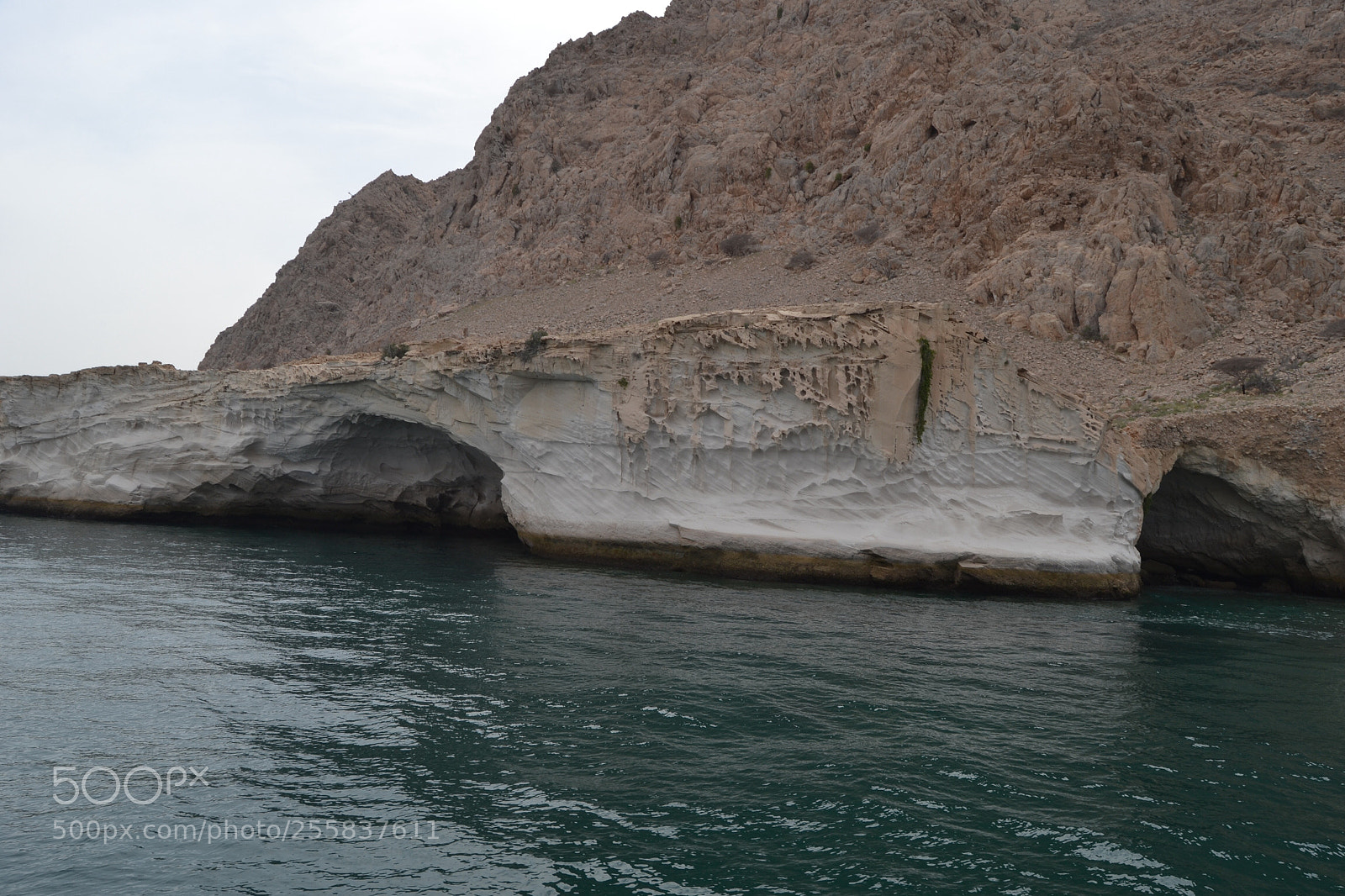 Nikon D3100 sample photo. Untitled photography