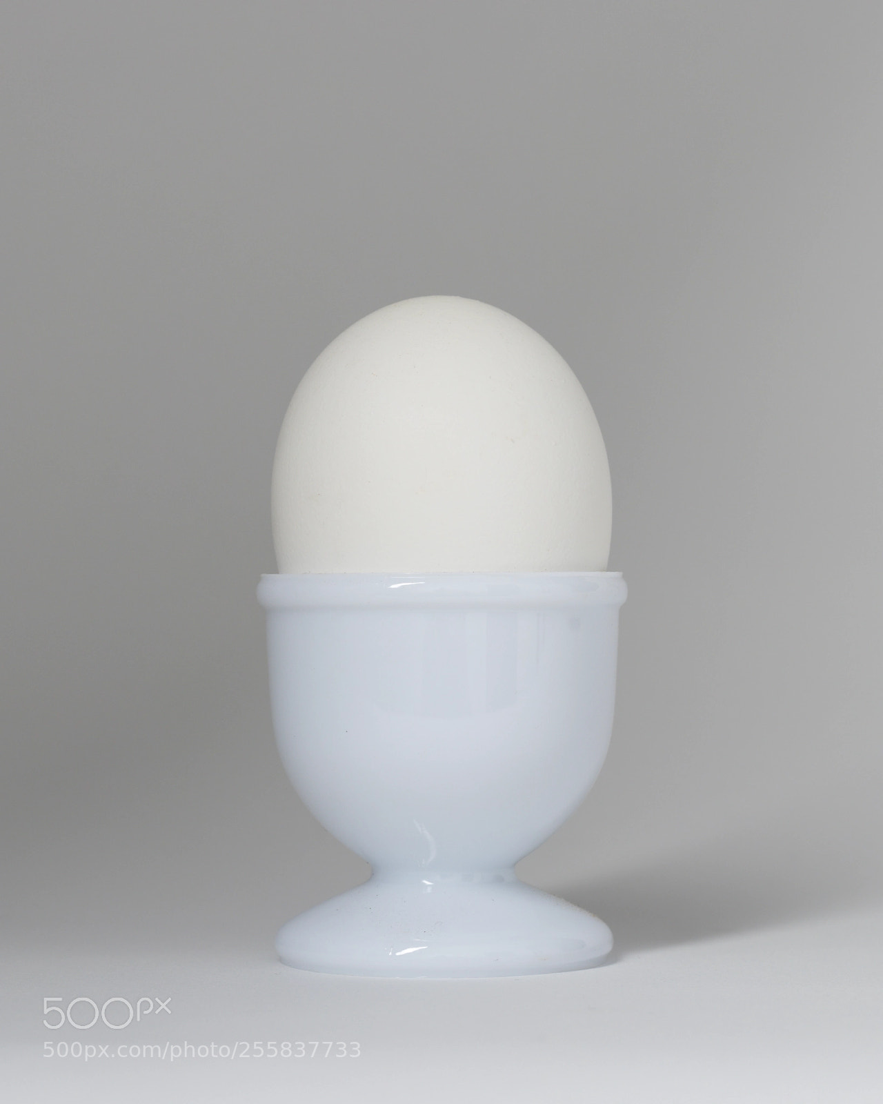 Canon EOS 77D (EOS 9000D / EOS 770D) sample photo. The egg photography