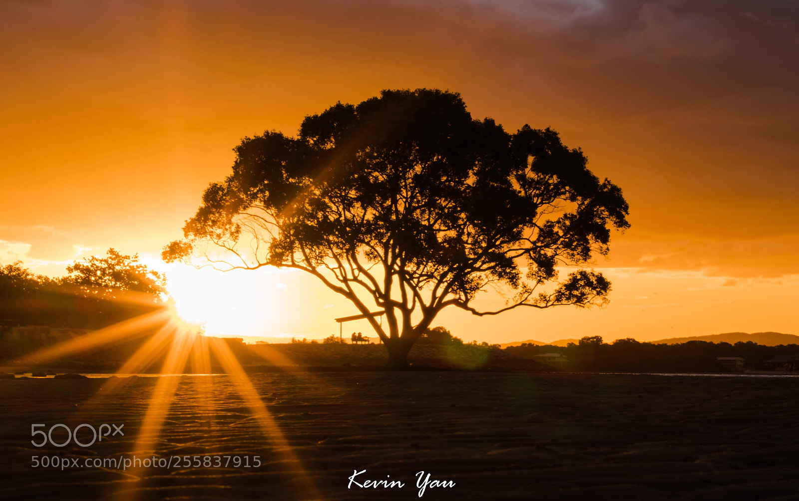 Nikon D7500 sample photo. Sunset  photography
