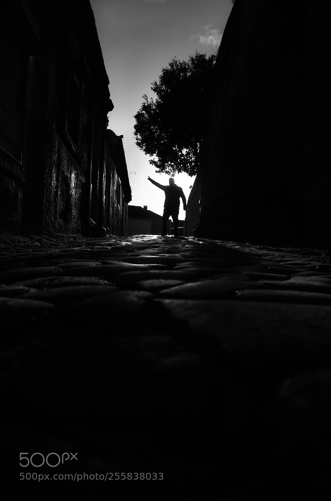 Ricoh GR sample photo. I'm a star photography