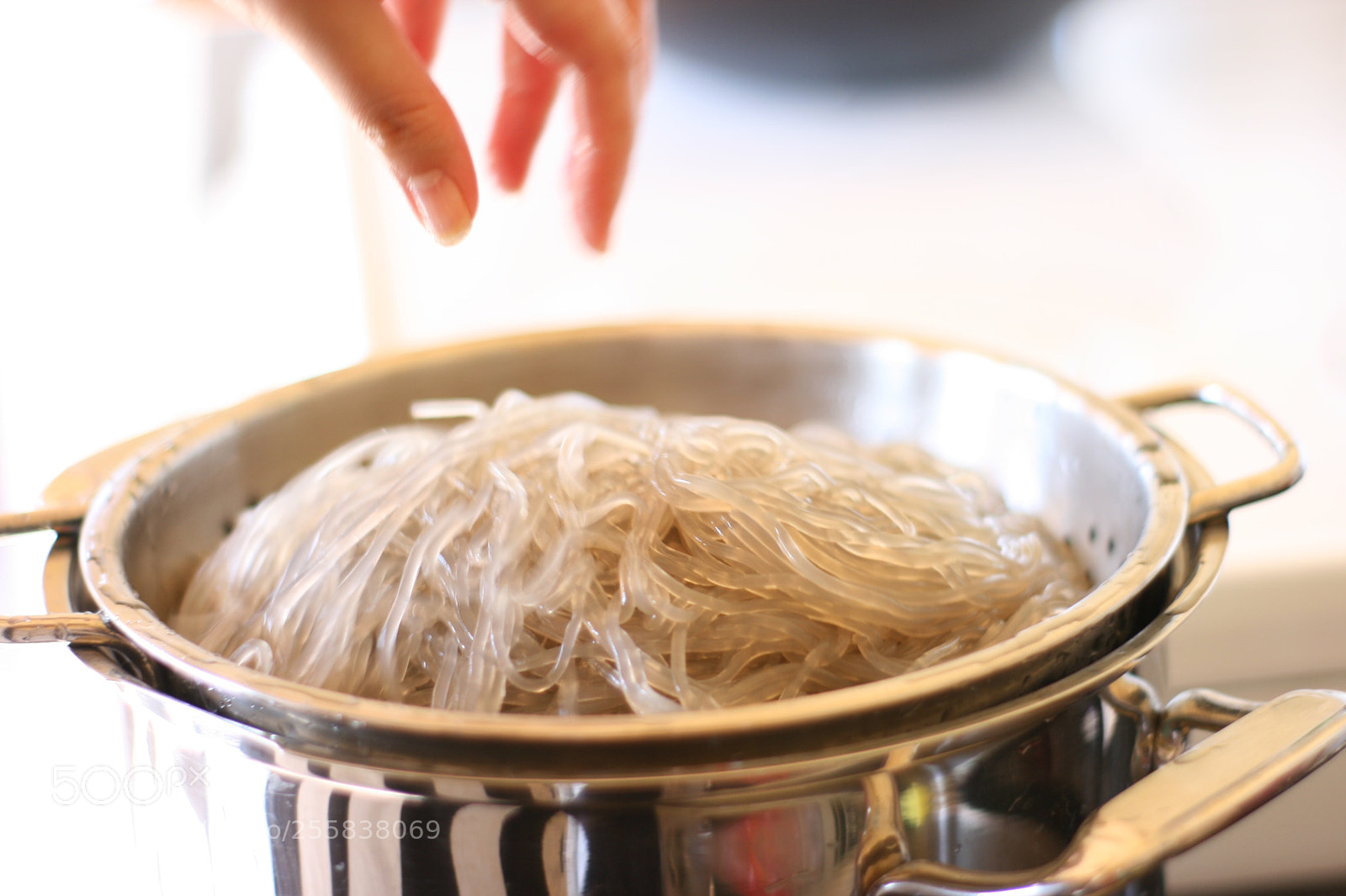 Canon EOS 400D (EOS Digital Rebel XTi / EOS Kiss Digital X) sample photo. Glass noodles for japchae photography