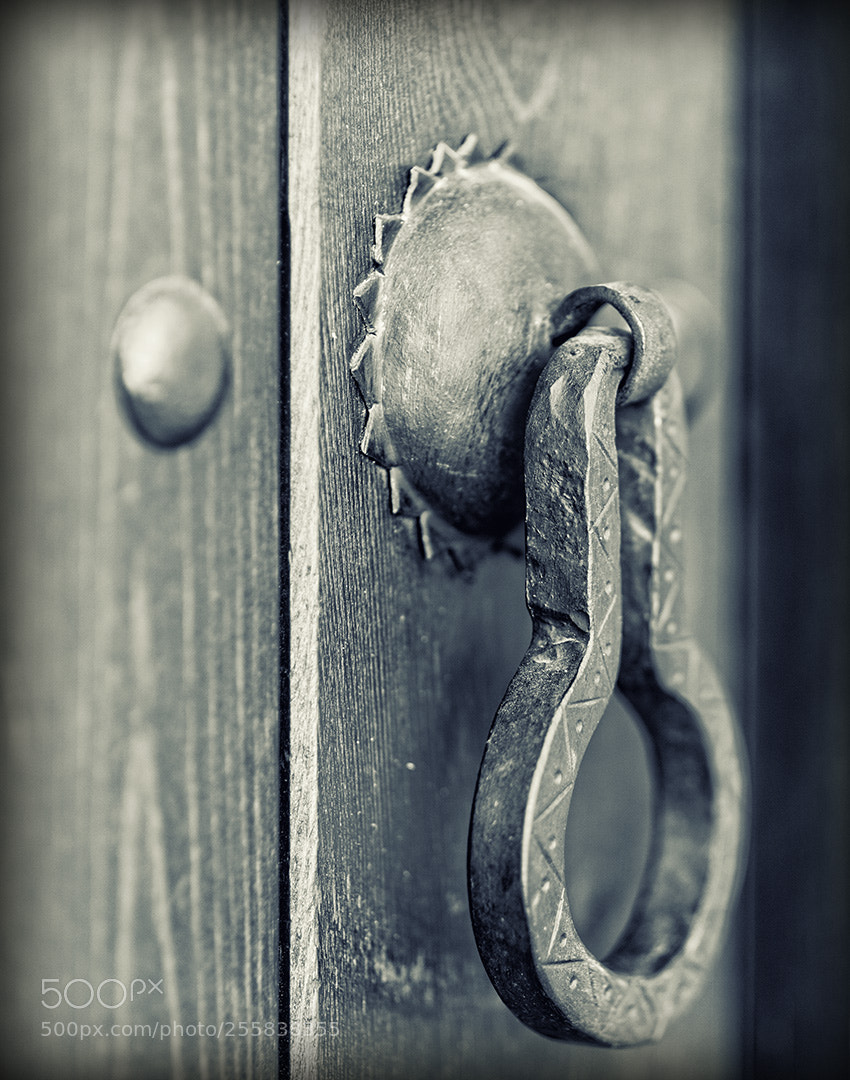 Nikon D610 sample photo. Patiocomedias bnviradorecorte photography