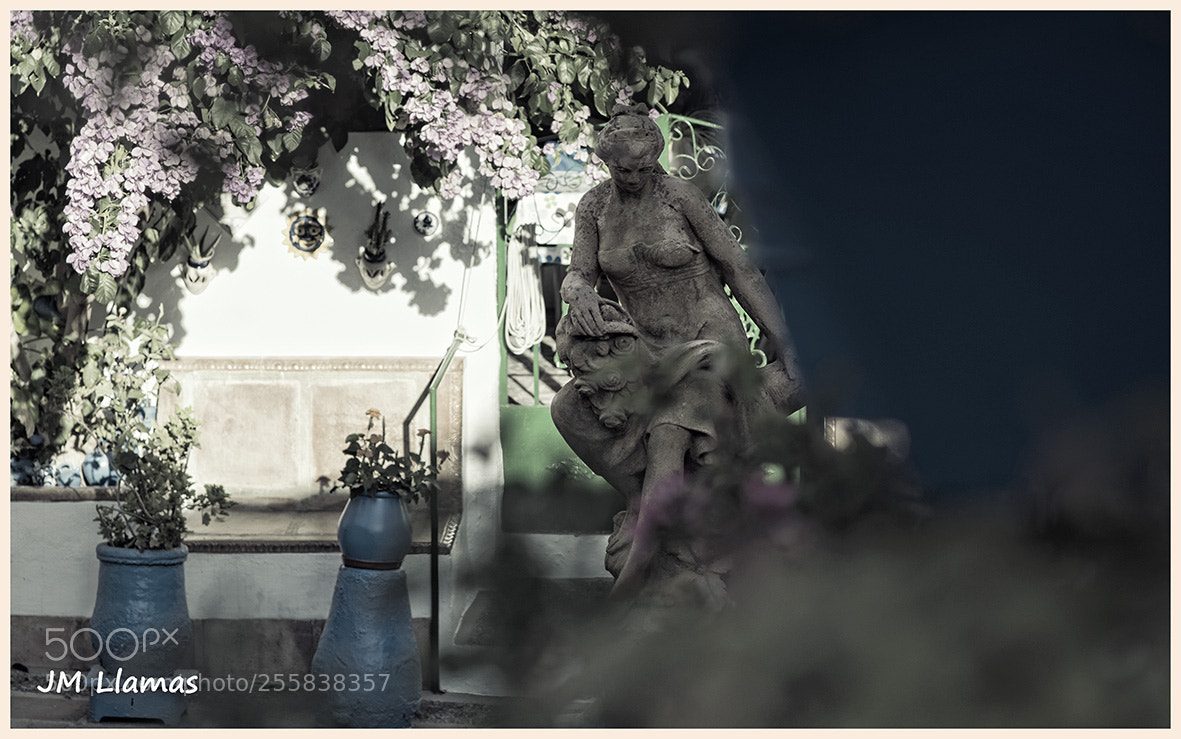 Nikon D610 sample photo. Patiocomediasbnvrecorte photography