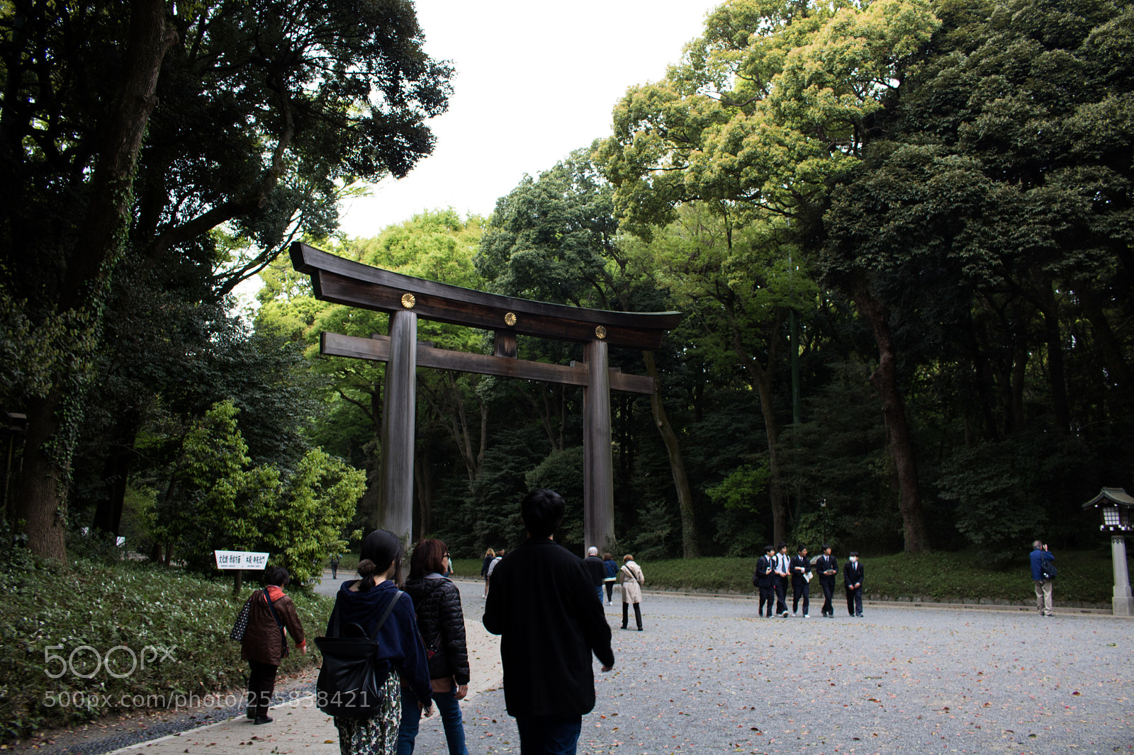 Canon EOS 750D (EOS Rebel T6i / EOS Kiss X8i) sample photo. Yoyogi park photography