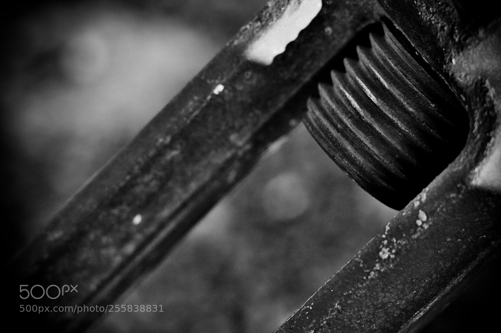 Canon EOS 80D sample photo. Macro steel wire turnbuckle photography