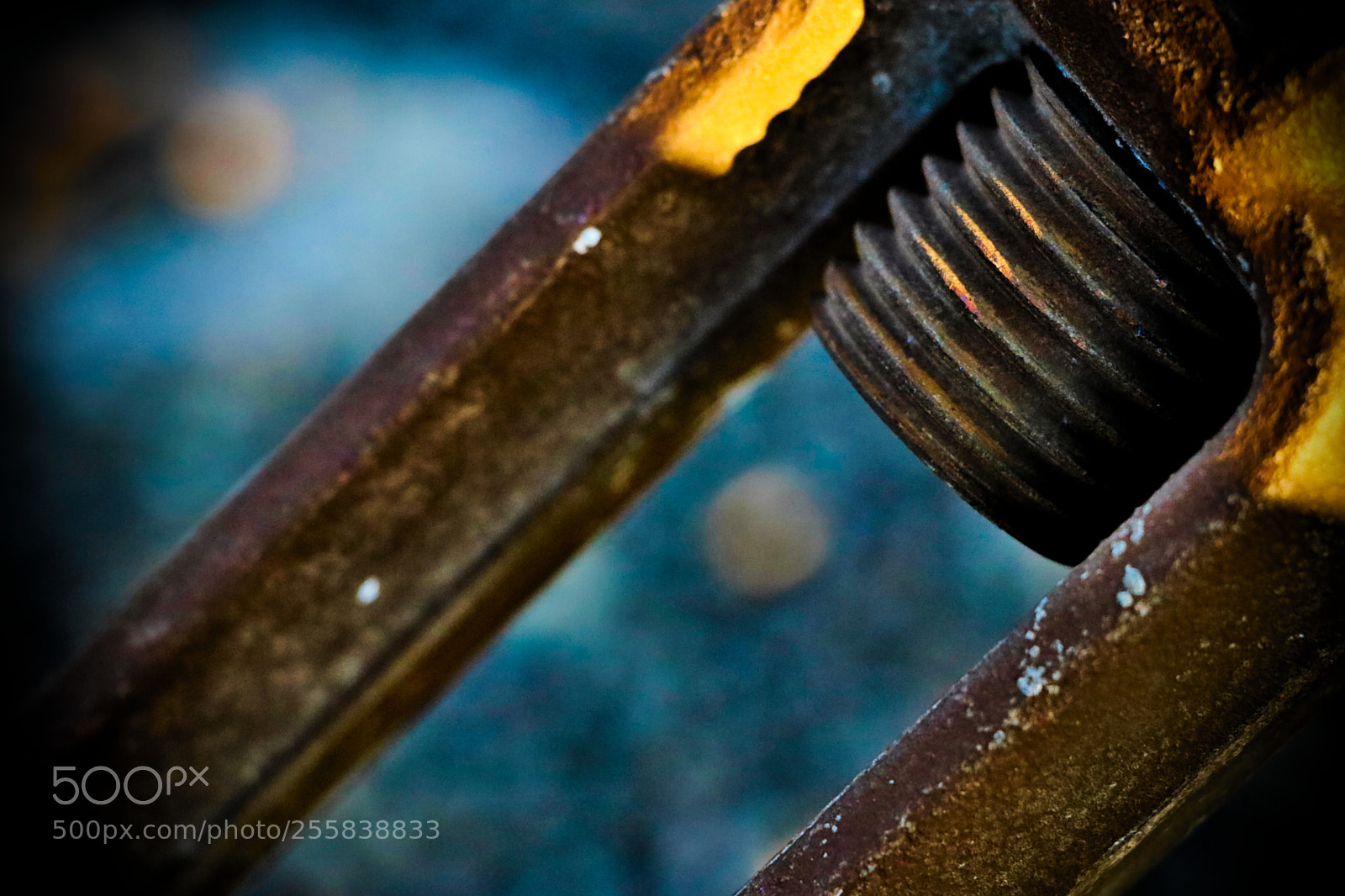 Canon EOS 80D sample photo. Macro steel wire turnbuckle photography