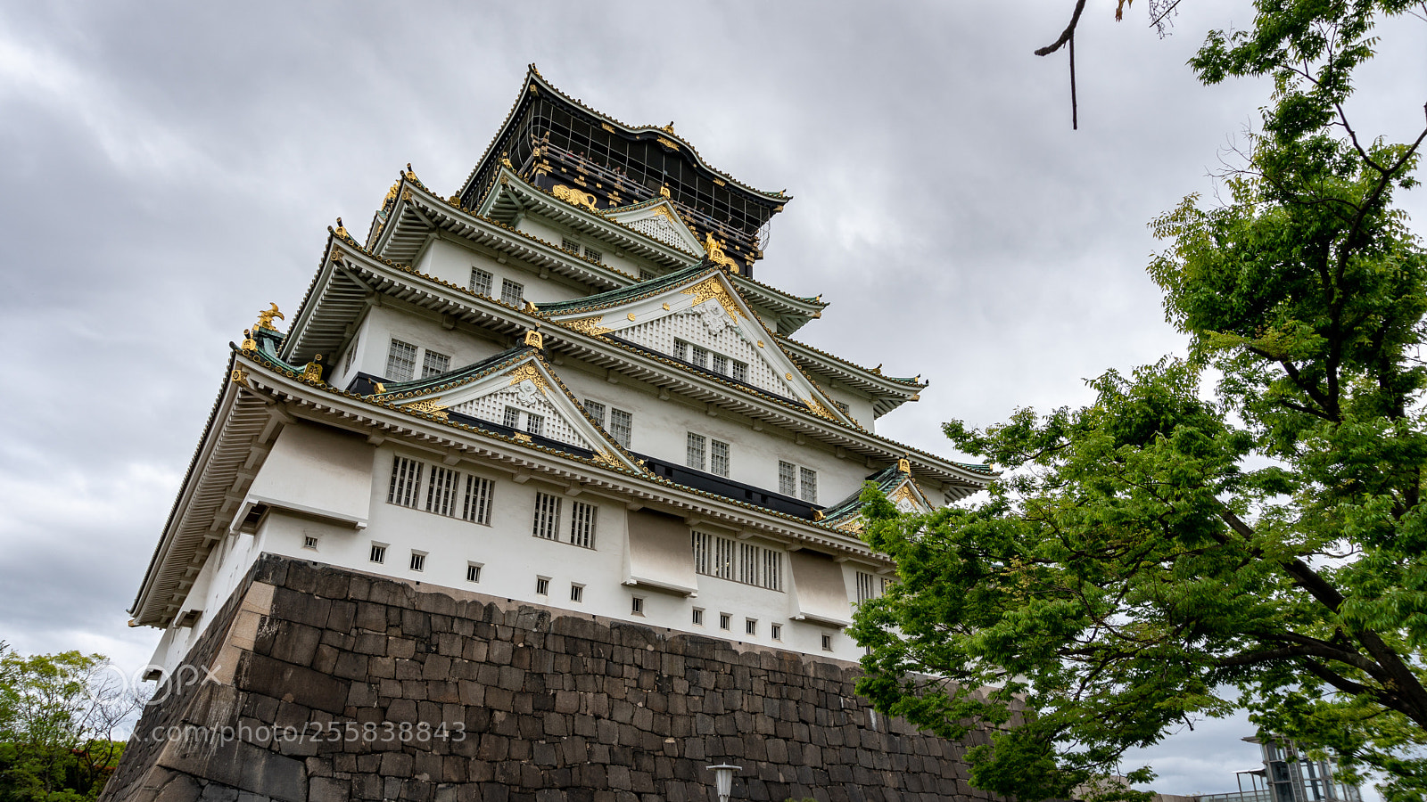 Sony a6300 sample photo. Osaka castle photography