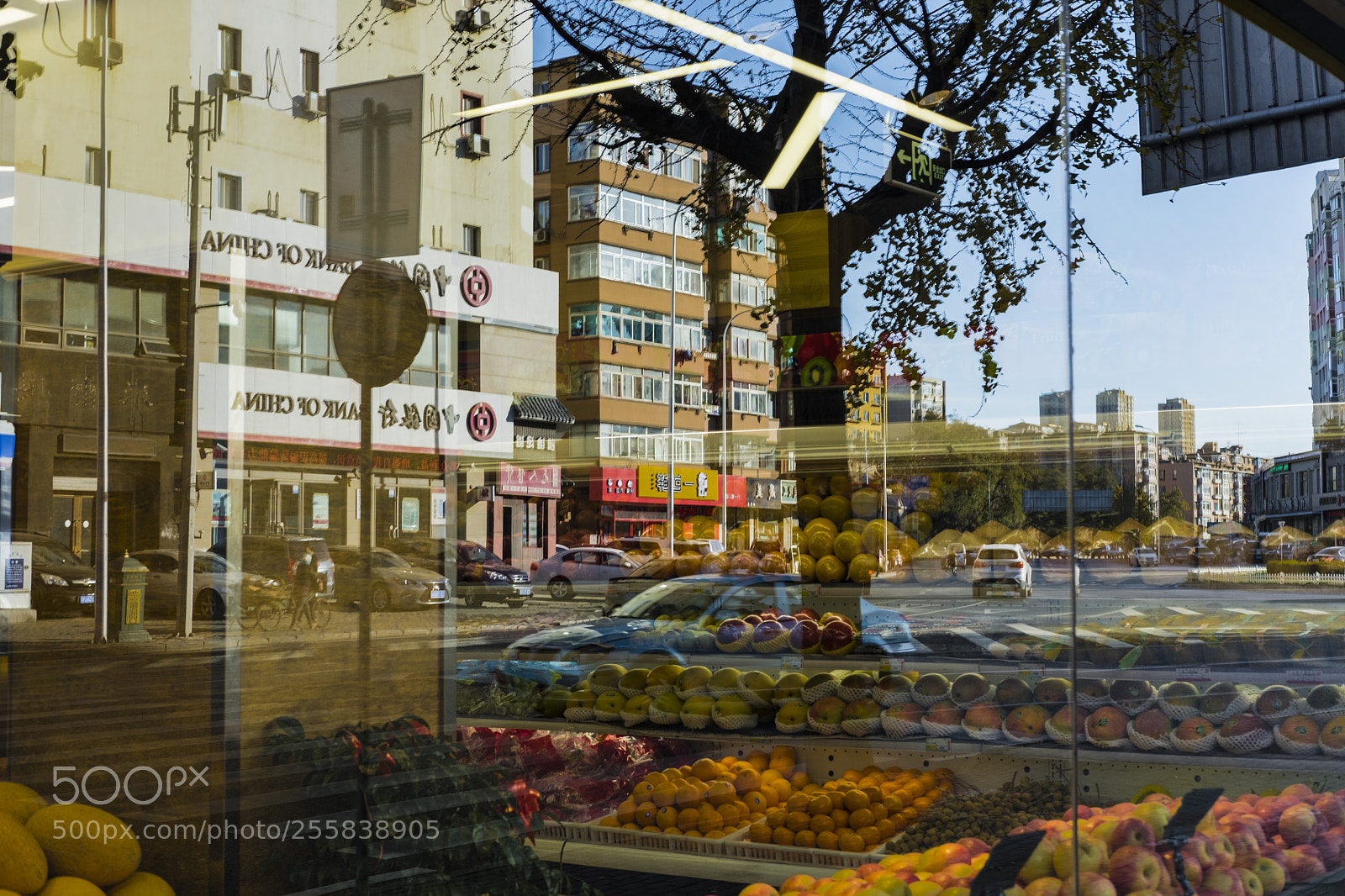 Fujifilm X-T20 sample photo. Untitled photography