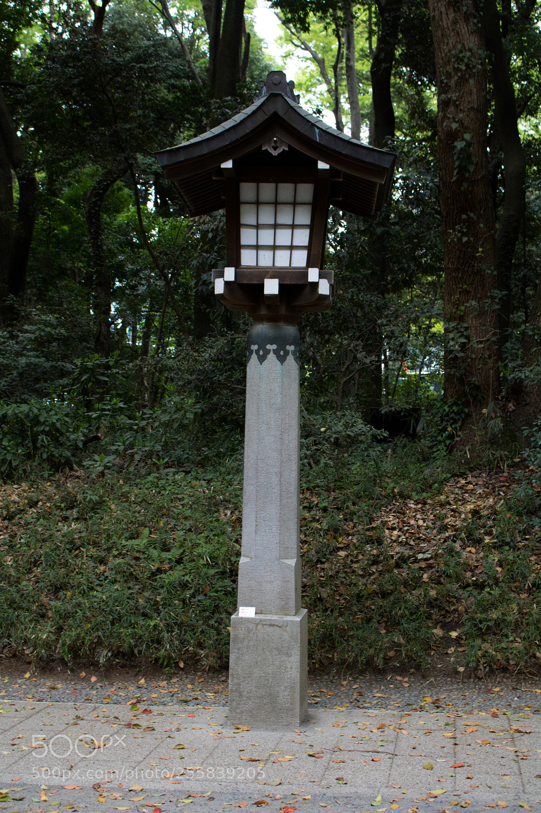 Canon EOS 750D (EOS Rebel T6i / EOS Kiss X8i) sample photo. Light post photography