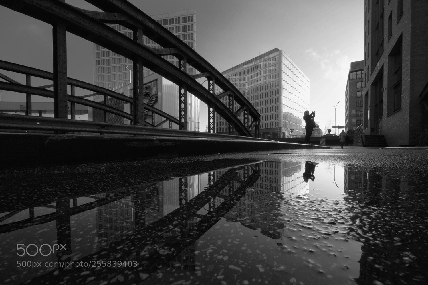 Sony a7R sample photo. Taking pictures photography