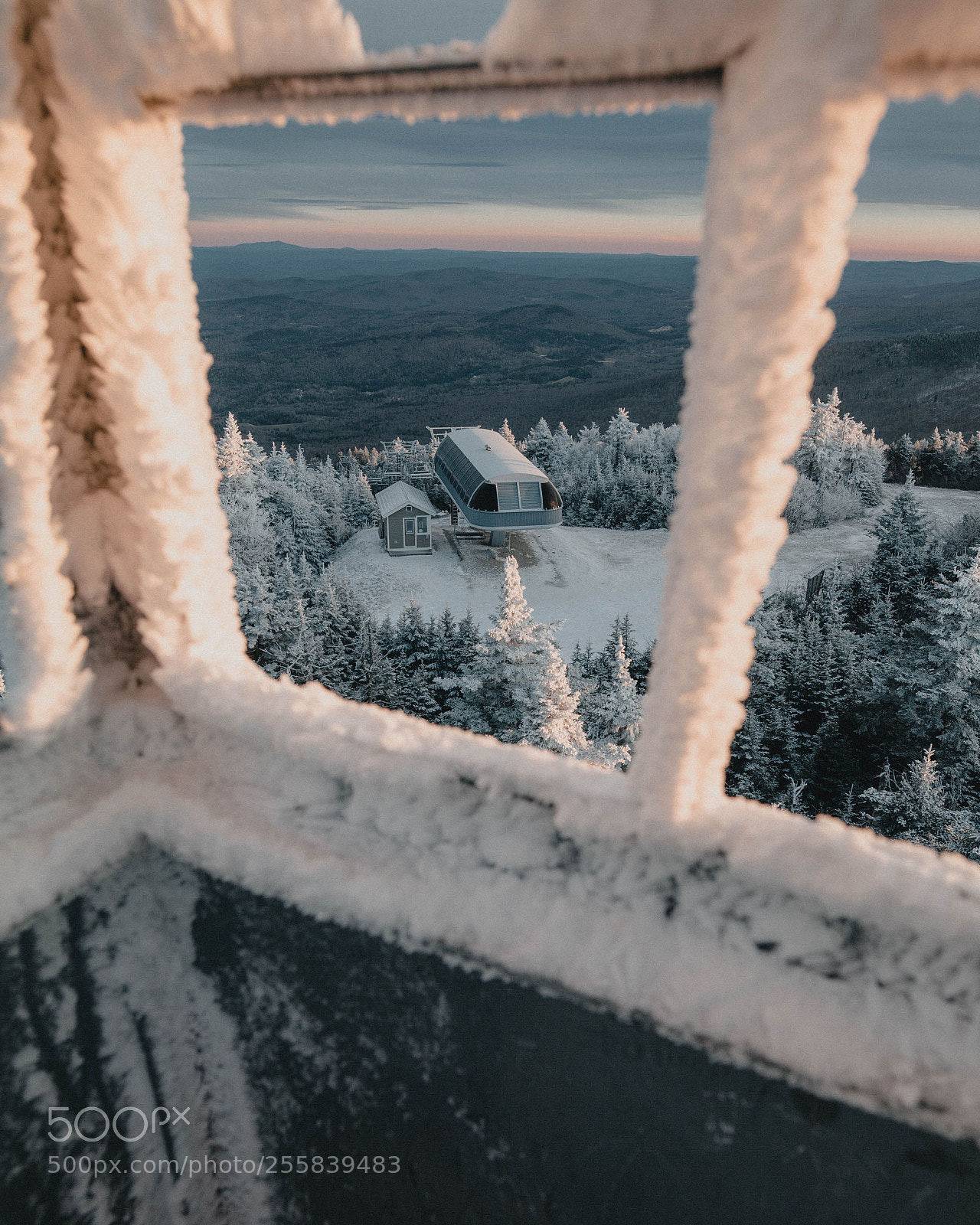 Canon EOS 5D Mark II sample photo. Fresh fallen snow photography