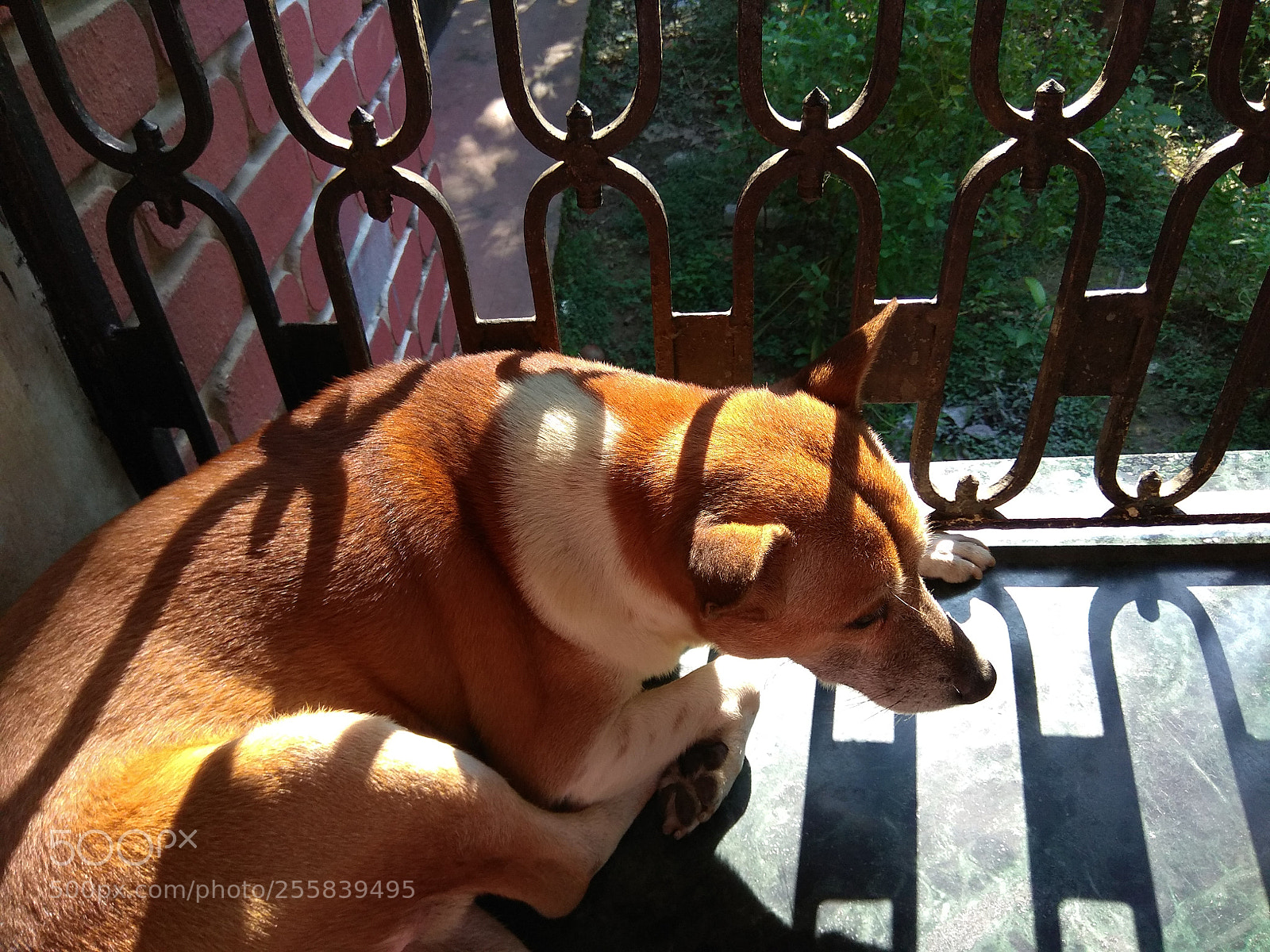 Xiaomi Redmi Note 4 sample photo. Untitled photography