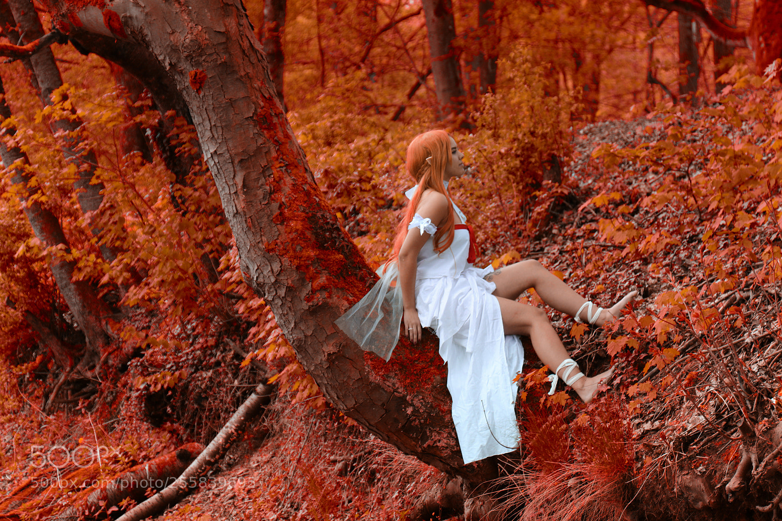Canon EOS 7D Mark II sample photo. Magica 2 photography