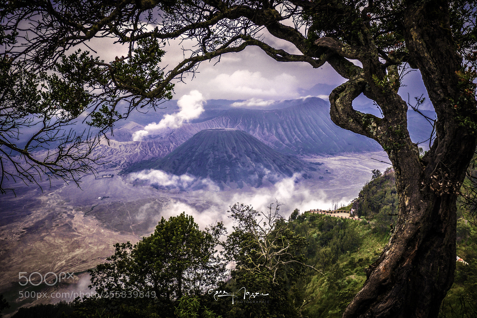 Fujifilm X-T2 sample photo. Mount bromo photography