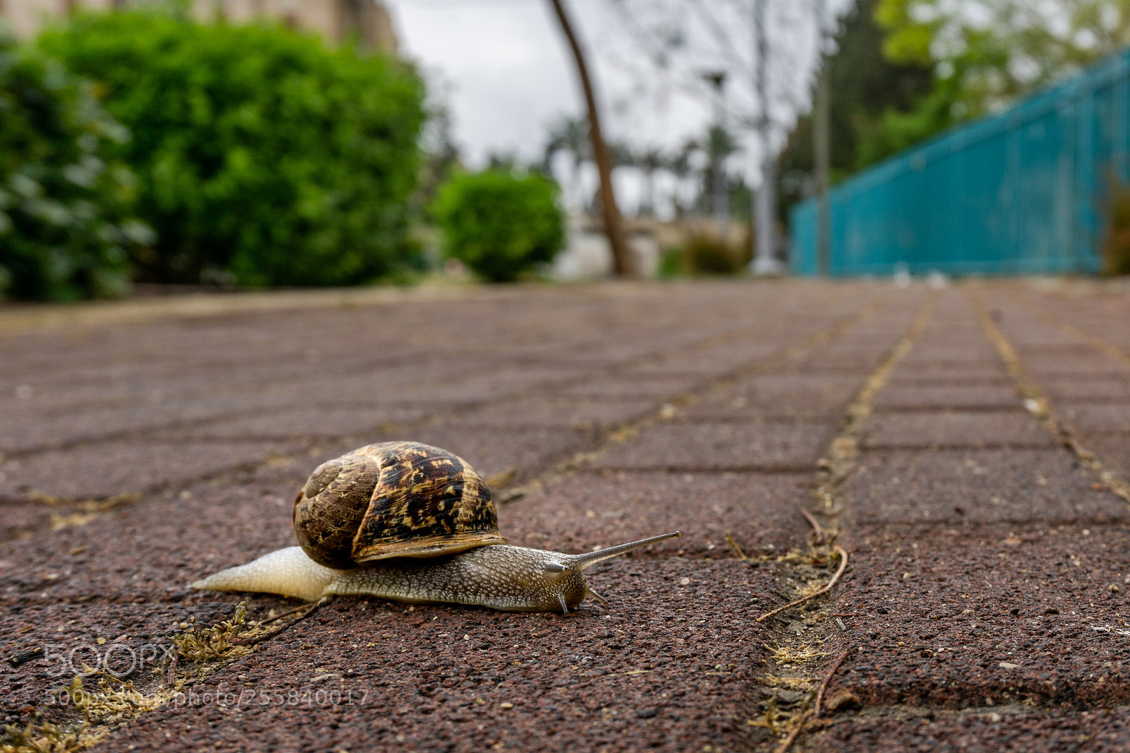 Sony a6000 sample photo. Speed photography